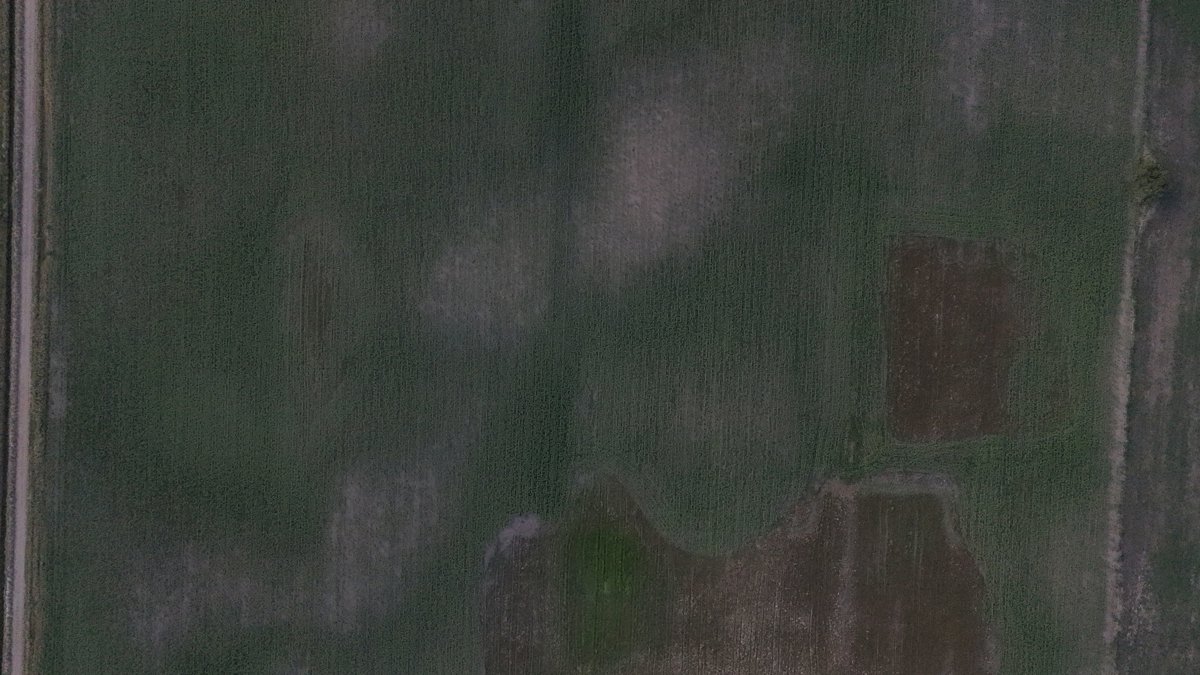 Drone 3d model of El RAVIOL casa campo Residencia Luna Bihurriet in de campo Aerial drone 3d model in San Carlos de Bolívar, Buenos Aires Province, AR