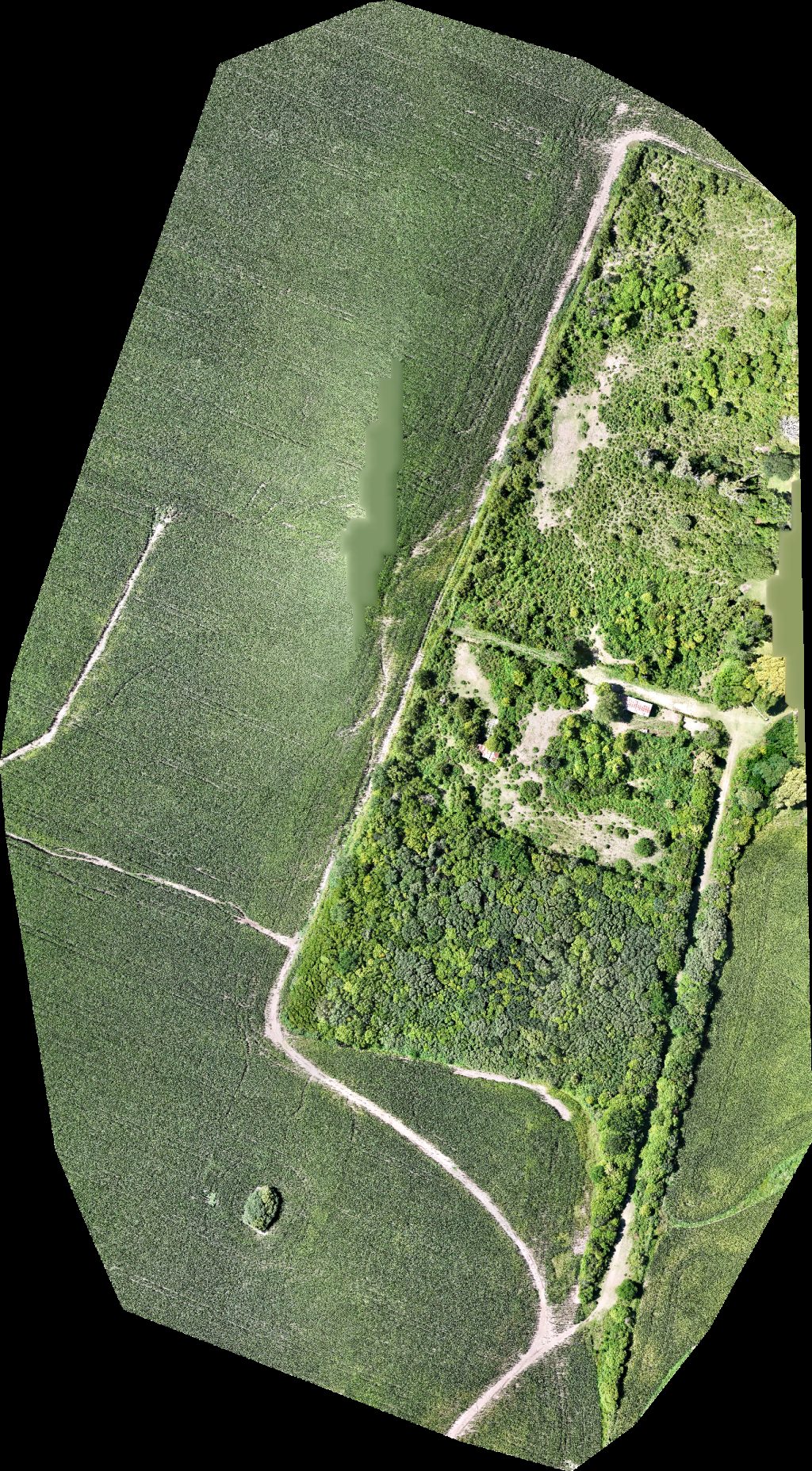 Drone map of Villa Rosario Folmer S A Concesionario Oficial Ford Aerial drone map in Victoria, Entre Rios, AR