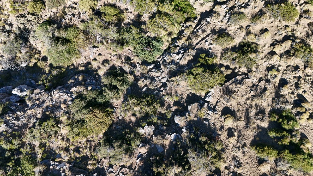 Drone 3d model of Escuela Primaria 71 Punto panorámico in escuela primaria Aerial drone 3d model in Tres Chorros, Neuquen, AR