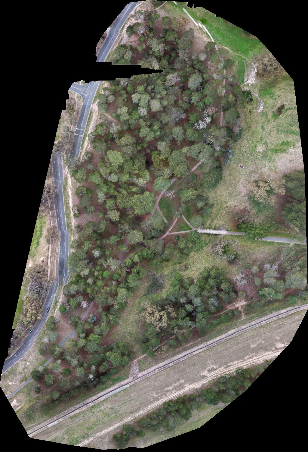 Thumbnail preview for Drone Map of Holy Family Church Athletic Field in Gowrie, Australian Capital Territory, Australia