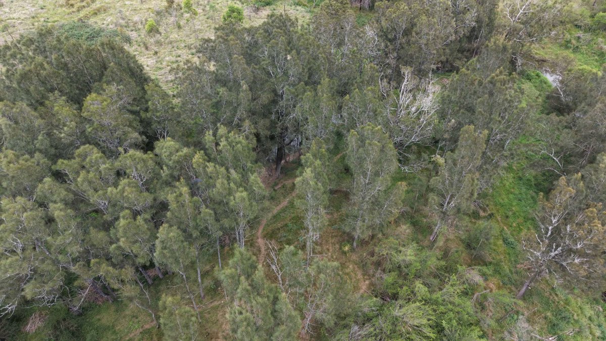 Drone 3d model of Yellow bridge WinTheForce in steeltrap dr before Aerial drone 3d model in Bungarribee, Nsw, AU