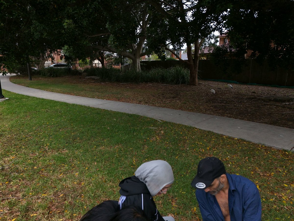 Drone 3d model of Aquatic Centre Cobden Shelley Street Reserve in grant park Aerial drone 3d model in Enfield, Nsw, AU