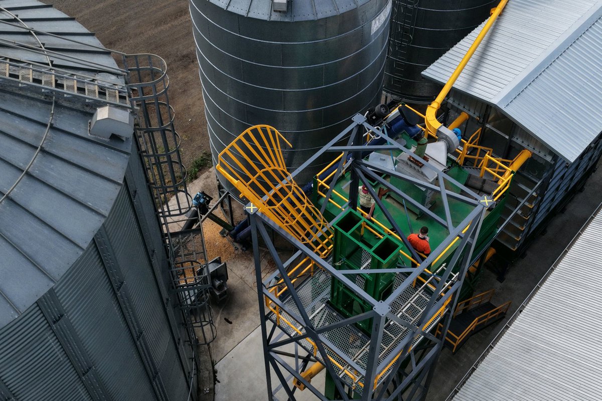 Drone 3d model of St Andrews Rabbit tree in warwick truck Aerial drone 3d model in Glengallan, Qld, AU