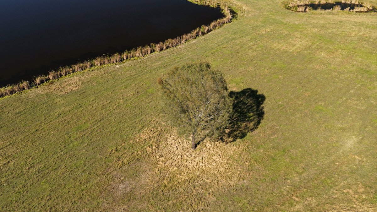 Drone 3d model of Bare Bowen Equine Services HKS JEMM GTS R W1 ON SUNOCO EVO 10 WITH TURBO 40O in rileysview deluxe Aerial drone 3d model in Sandy Creek, Qld, AU