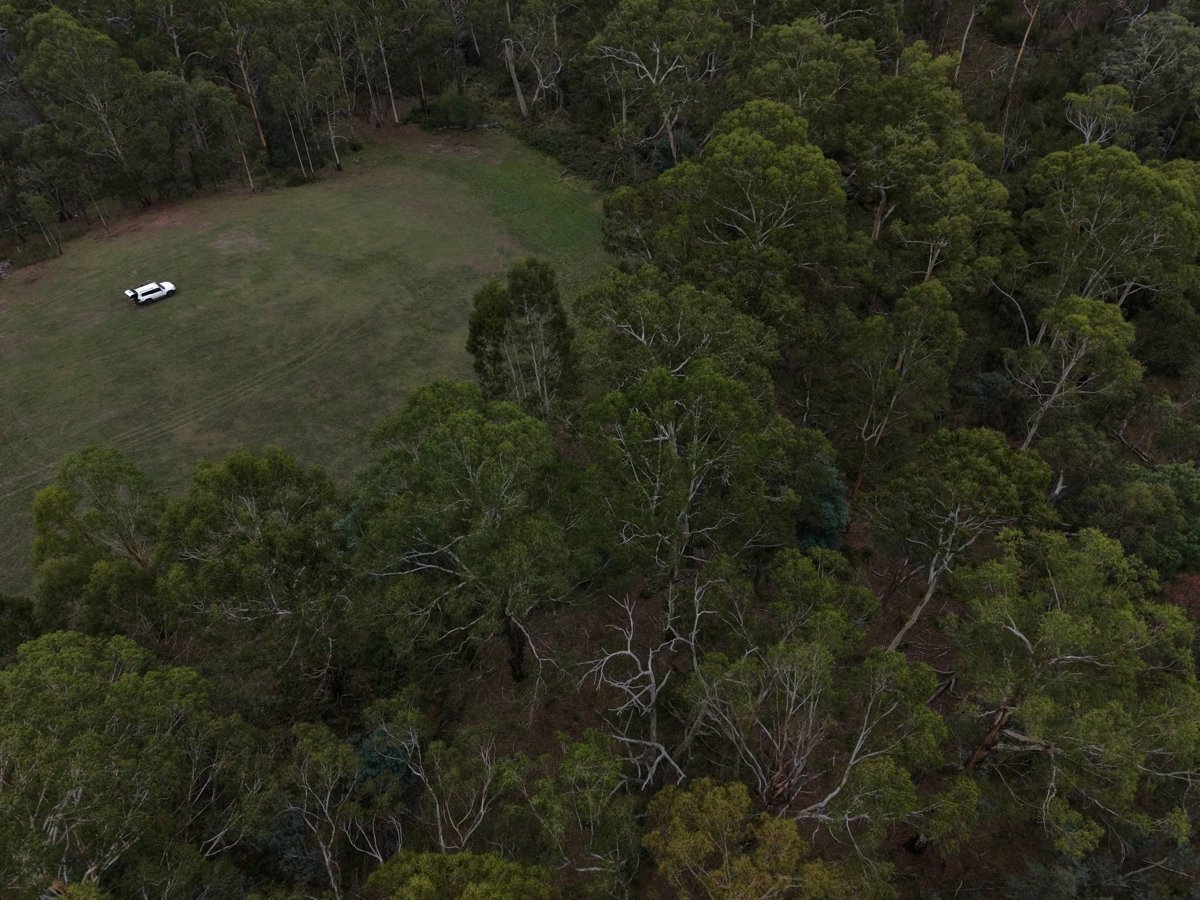 Drone 3d model of Butterfly Studio Hall Aerial drone 3d model in Christmas Hills, Vic, AU