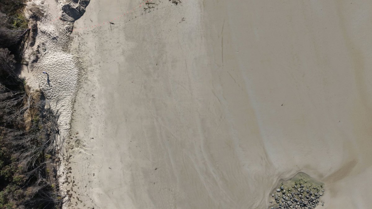 Drone 3d model of Main Surf Beach Australia TRALEE HOUSE WIFI and LINEN Included in inverloch surf Aerial drone 3d model in Inverloch, Vic, AU
