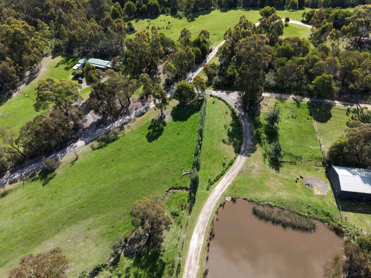 Drone 3d model of Burgoyne G132 Bushland Reserve Nine One Six Aerial drone 3d model in Steels Creek, Vic, AU