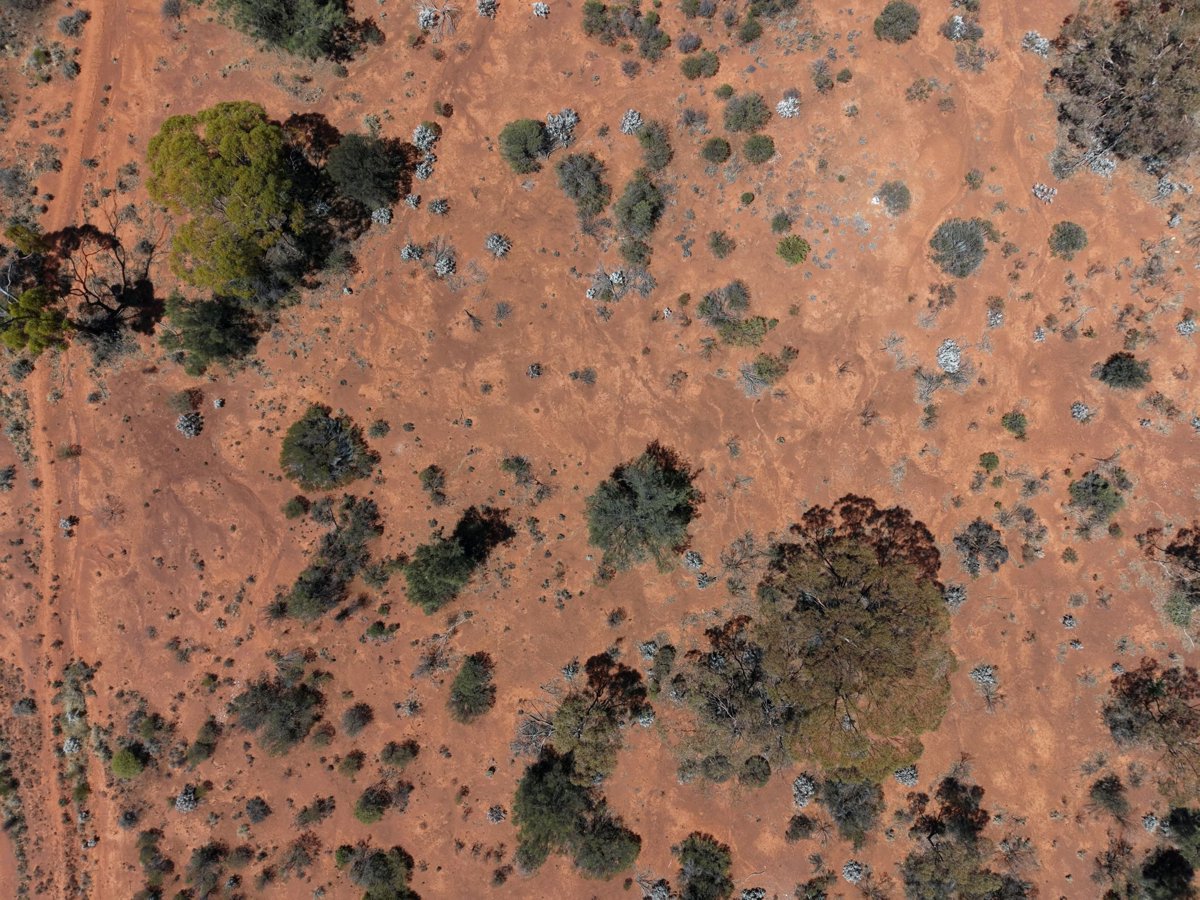 Drone 3d model of Brindy s Coffee Bar Kalgoorlie Boulder parkrun in dr after Aerial drone 3d model in Hannans, Wa, AU