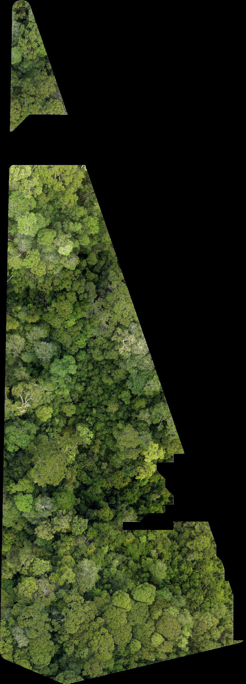 Drone map of BSP Rasau Station SS in sdn bhd Aerial drone map in Kampung Sungai Teraban, Belait District, BN