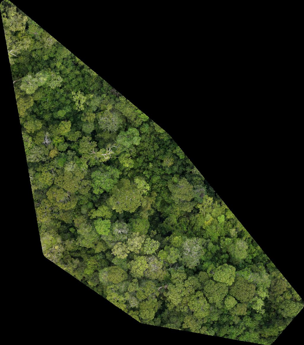 Drone map of BSP Rasau Station SS in sdn bhd Aerial drone map in Kampung Sungai Teraban, Belait District, BN