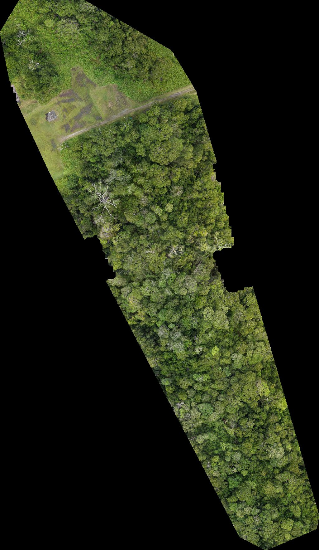 Drone map of BSP Rasau Station SS in v plaza Aerial drone map in Kampung Sungai Teraban, Belait District, BN