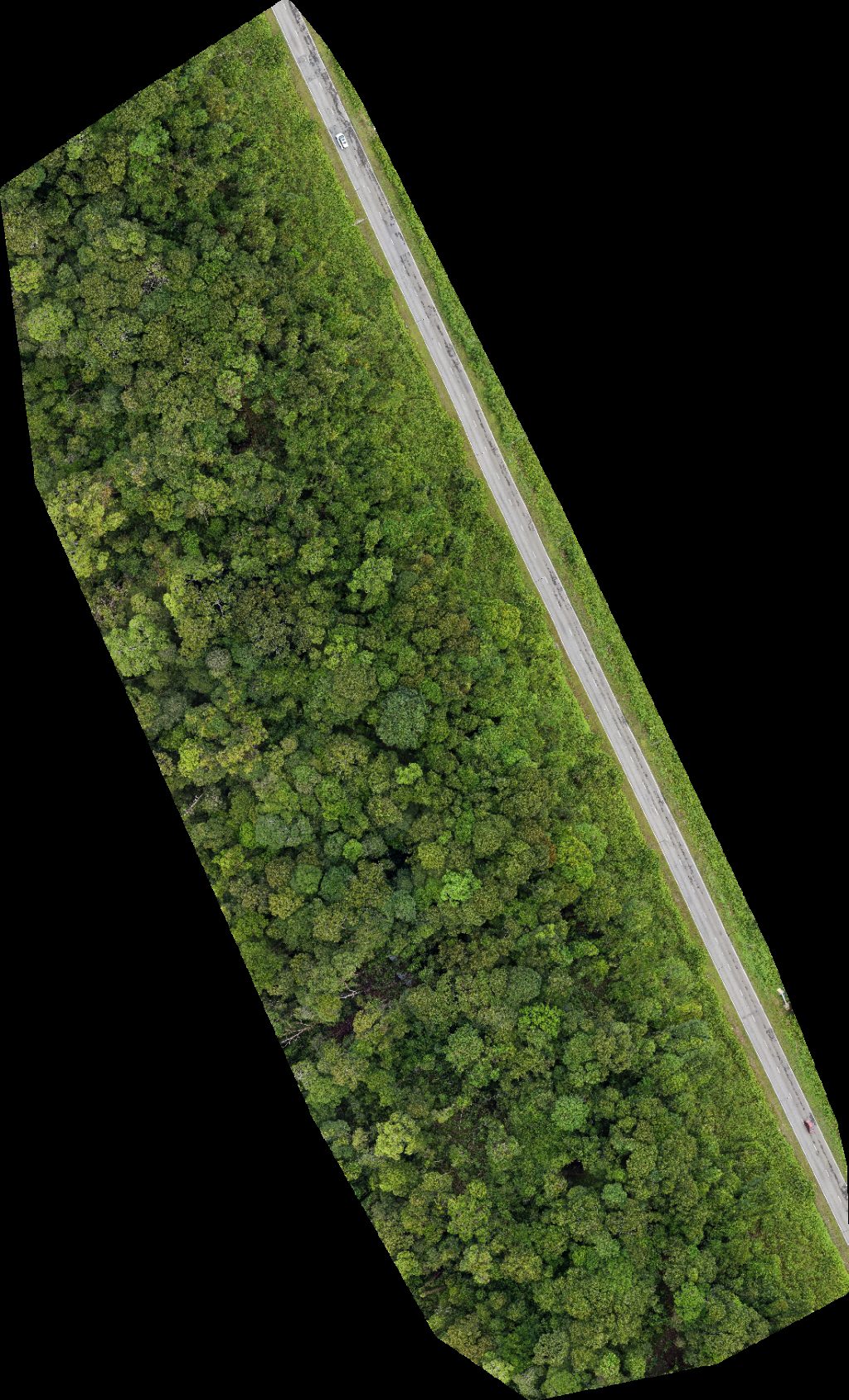 Drone map of SS BSP RASAU Station in dan anak anak Aerial drone map in Kuala Belait, Belait District, BN