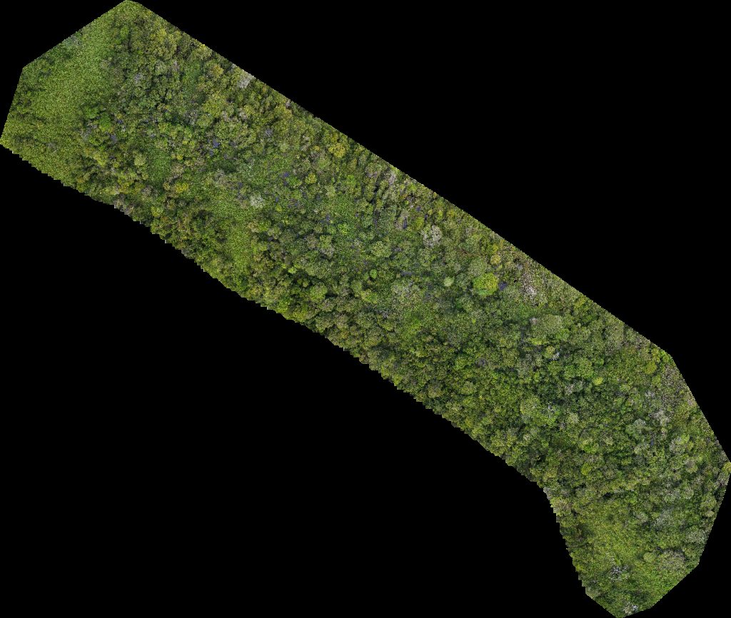 Drone map of SS BSP RASAU Station Aerial drone map in Kuala Belait, Belait District, BN