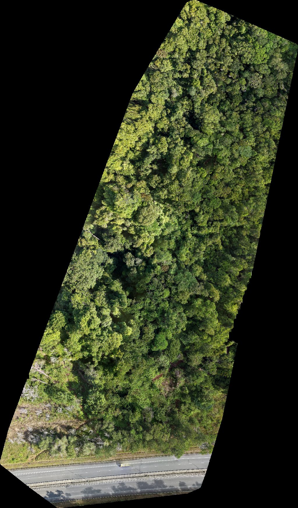 Drone map of Bukit Lumut Sg Kang IMJ Aerial drone map in Liang, Belait District, BN