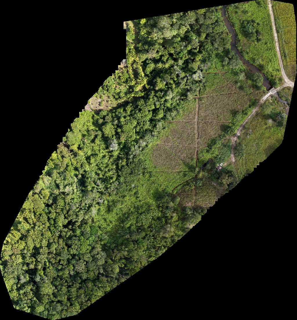 Drone map of Sg Kang IMJ 善終 SZfuneral Aerial drone map in Liang, Belait District, BN