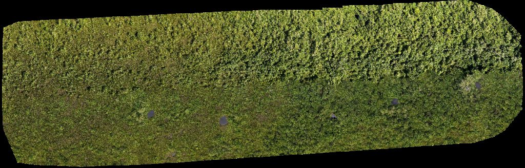 Drone map of Syarikat Jaya NHSD Borneo Agro Industries Sdn Bhd in ss sungai Aerial drone map in Kampung Sungai Teraban, Daerah Belait, BN