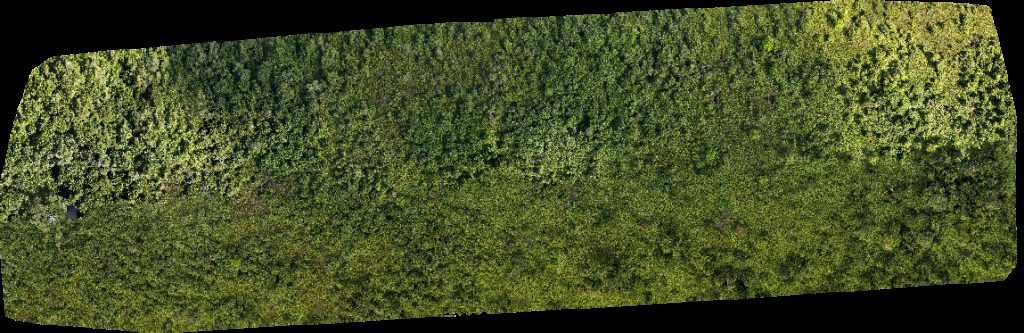 Drone map of Syarikat Jaya NHSD Shell Petrol Station Rasau in ss sungai Aerial drone map in Kampung Sungai Teraban, Daerah Belait, BN