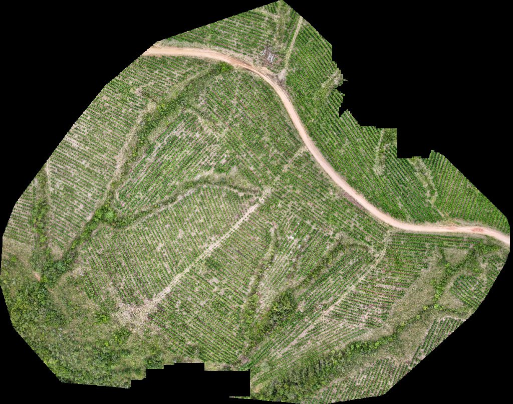 Drone map of VP ECOPLANALTO FLORESTAMENTO Fazenda Bela Vista in da prata Aerial drone map in Catalão, Go, BR