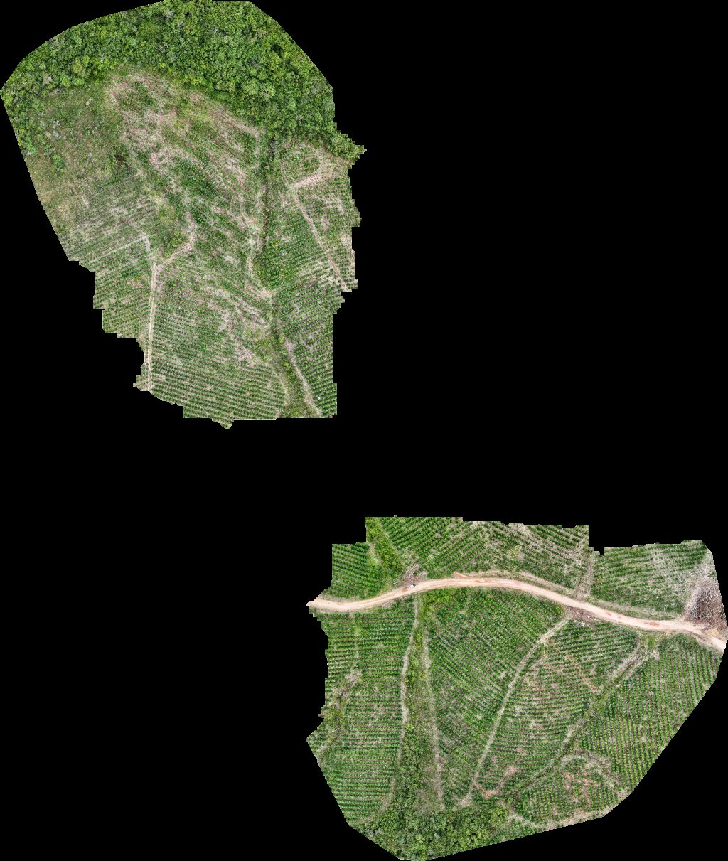 Drone map of VP ECOPLANALTO FLORESTAMENTO Fazenda Bela Vista in da prata Aerial drone map in Catalão, Go, BR