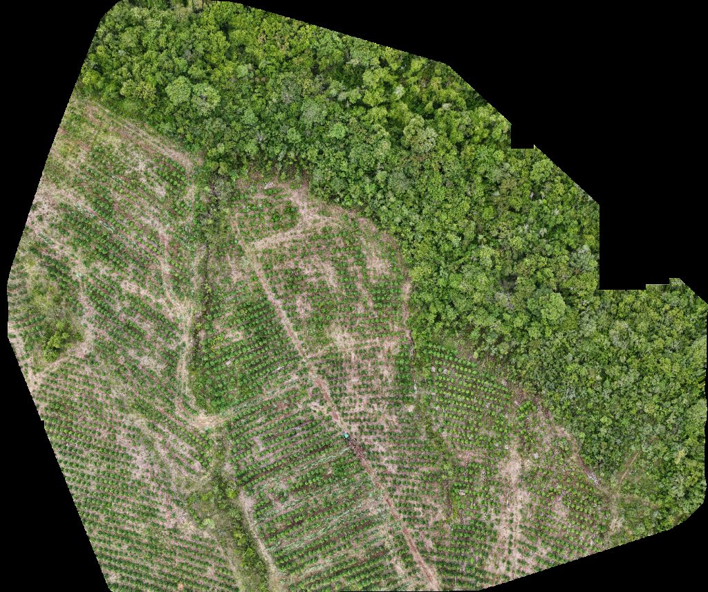 Drone map of VP ECOPLANALTO FLORESTAMENTO Fazenda Bela Vista in da prata Aerial drone map in Catalão, Go, BR