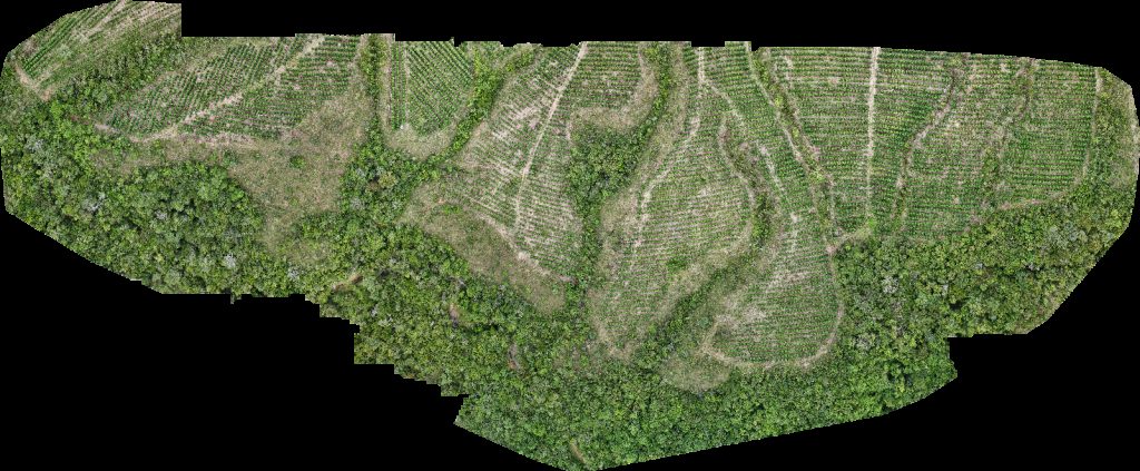 Drone map of VP ECOPLANALTO FLORESTAMENTO Fazenda Bela Vista in da prata Aerial drone map in Catalão, Go, BR