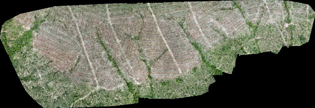 Drone map of VP ECOPLANALTO FLORESTAMENTO Fazenda Bela Vista in da prata Aerial drone map in Catalão, Go, BR