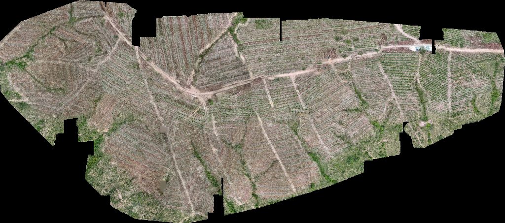 Drone map of VP ECOPLANALTO FLORESTAMENTO Fazenda Bela Vista in da prata Aerial drone map in Catalão, Go, BR