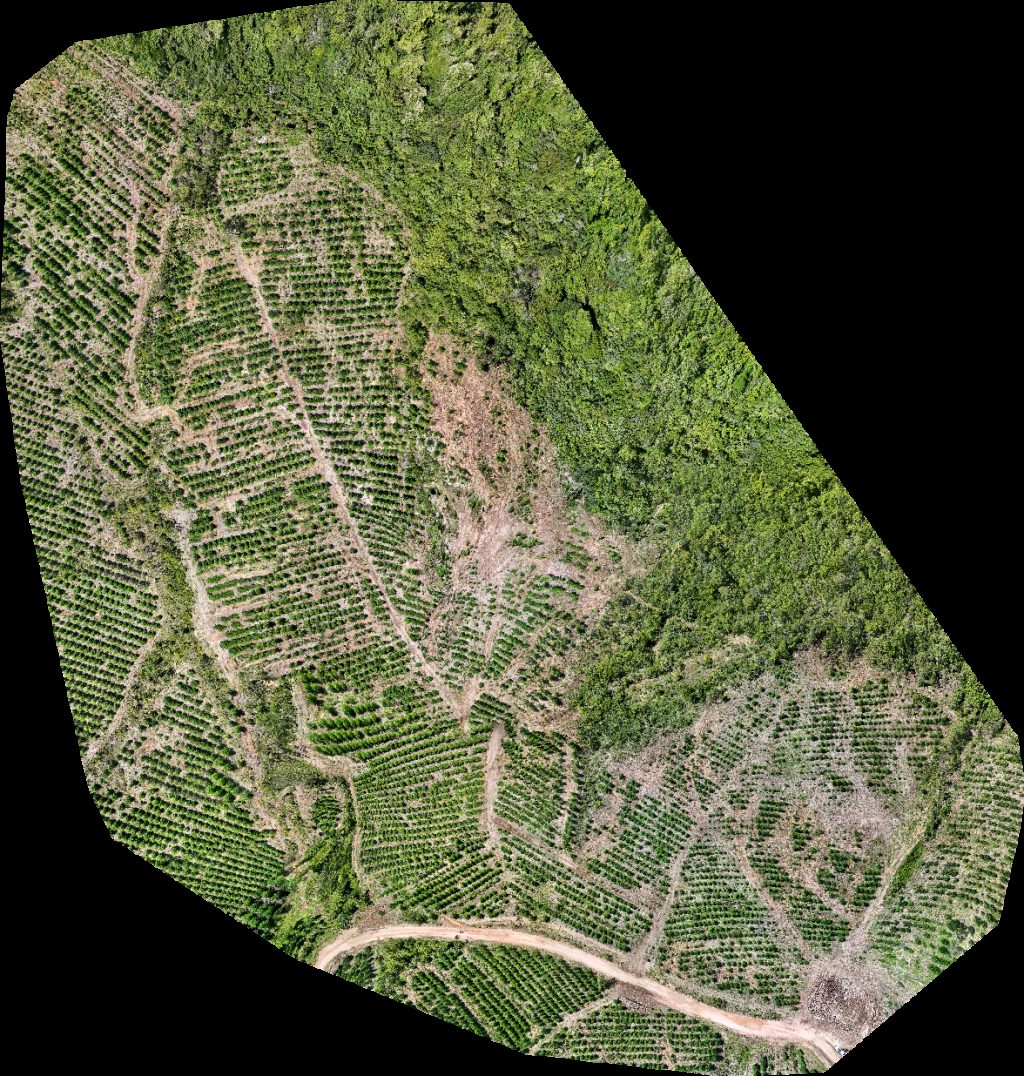 Drone map of VP ECOPLANALTO FLORESTAMENTO Fazenda Bela Vista in da prata Aerial drone map in Catalão, Go, BR