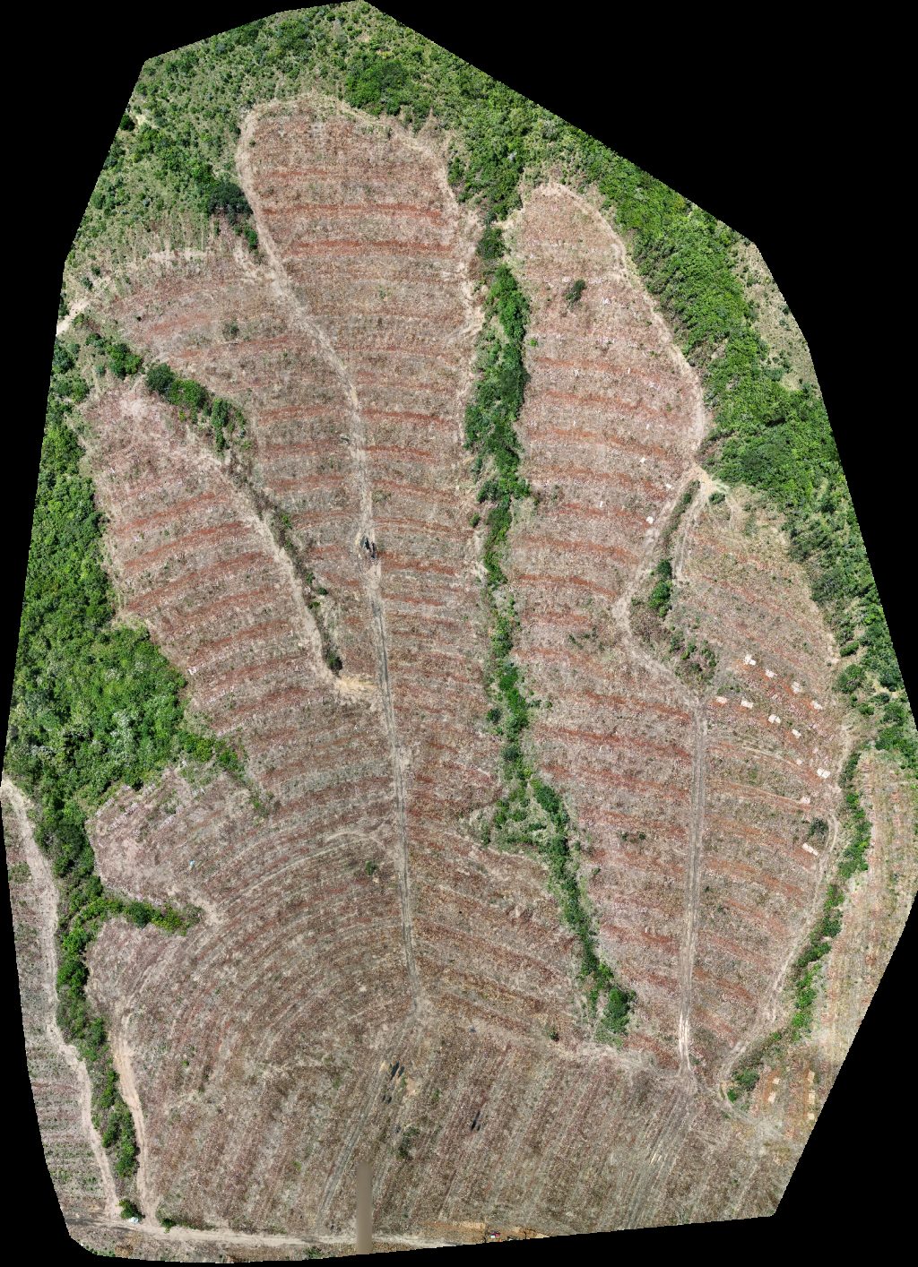 Drone map of VP ECOPLANALTO FLORESTAMENTO Fazenda Bela Vista in da prata Aerial drone map in Catalão, Go, BR