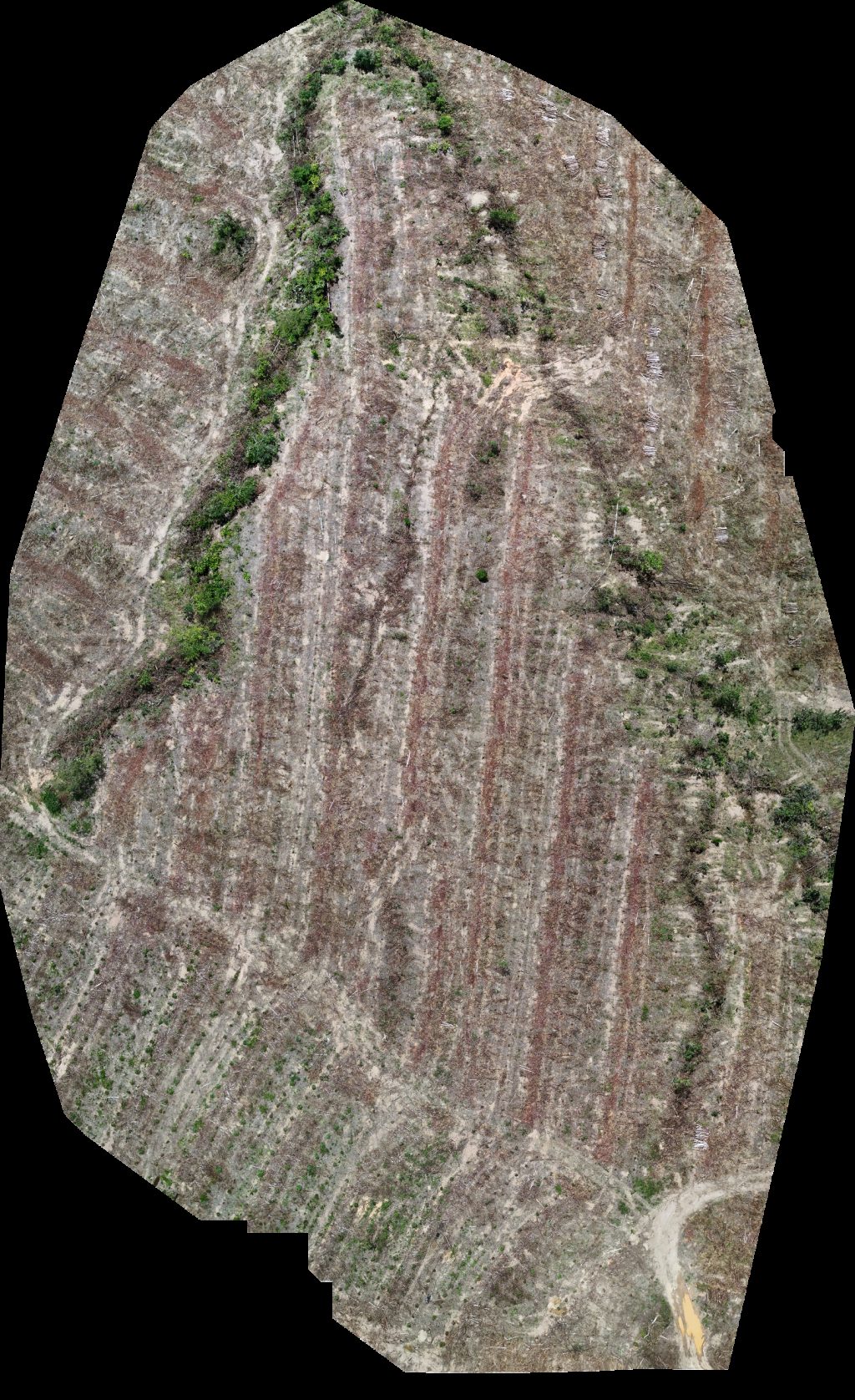 Drone map of VP ECOPLANALTO FLORESTAMENTO Fazenda Bela Vista in da prata Aerial drone map in Catalão, Go, BR