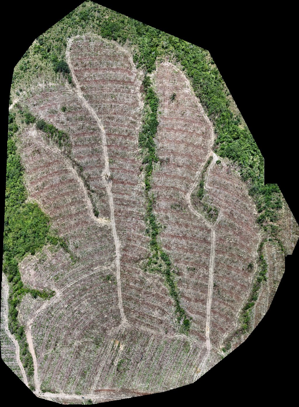 Drone map of VP ECOPLANALTO FLORESTAMENTO Fazenda Bela Vista in da prata Aerial drone map in Catalão, Go, BR