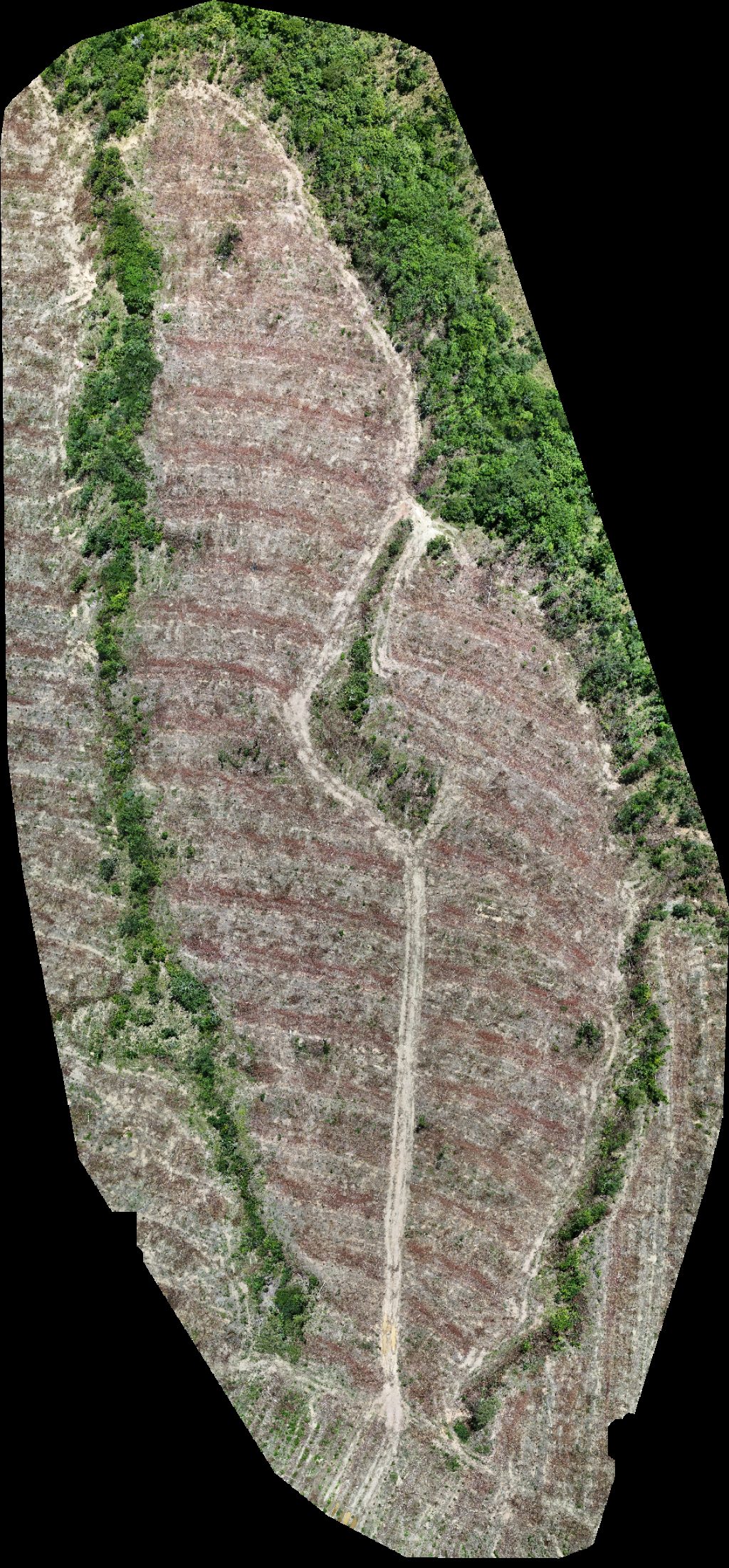 Drone map of VP ECOPLANALTO FLORESTAMENTO Fazenda Bela Vista in da prata Aerial drone map in Catalão, Go, BR