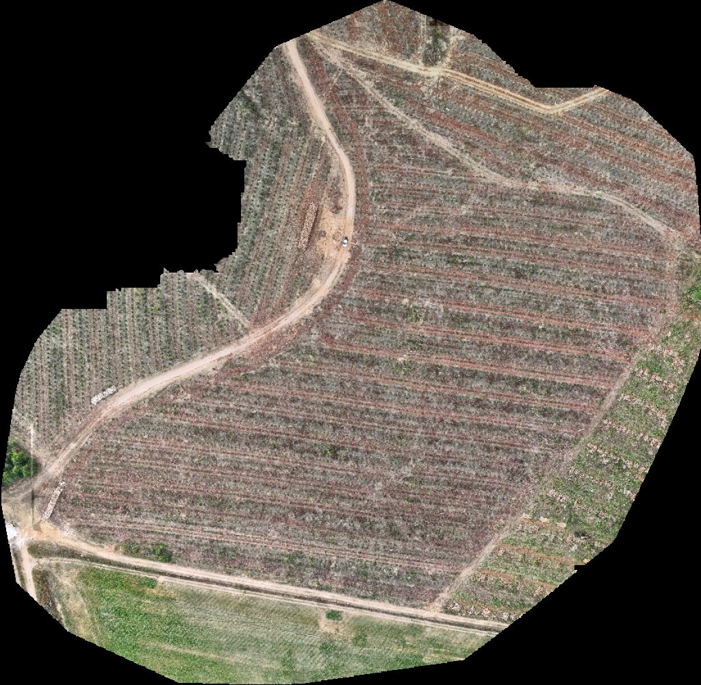 Drone map of VP ECOPLANALTO FLORESTAMENTO Fazenda Bela Vista in da prata Aerial drone map in Catalão, Go, BR
