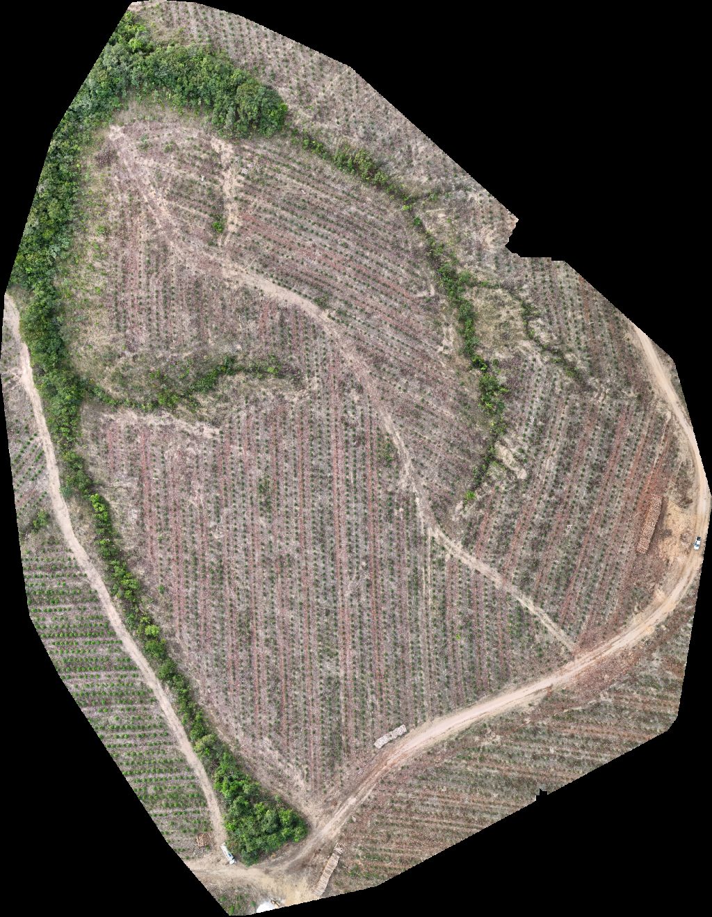 Drone map of VP ECOPLANALTO FLORESTAMENTO Fazenda Bela Vista in da prata Aerial drone map in Catalão, Go, BR