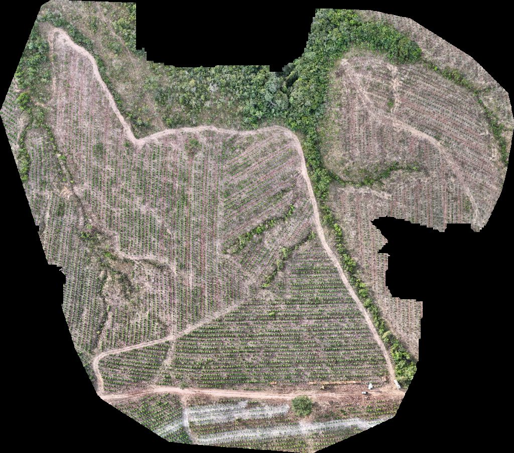 Drone map of VP ECOPLANALTO FLORESTAMENTO Fazenda Bela Vista in da prata Aerial drone map in Catalão, Go, BR
