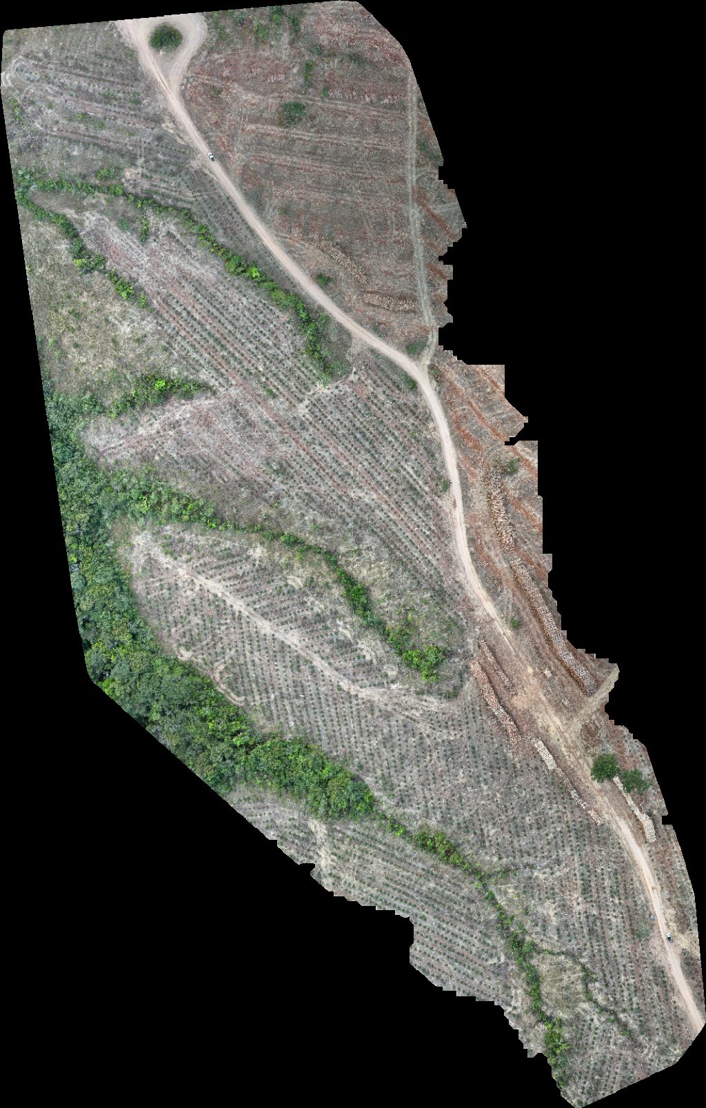 Drone map of VP ECOPLANALTO FLORESTAMENTO Fazenda Bela Vista in da prata Aerial drone map in Catalão, Go, BR