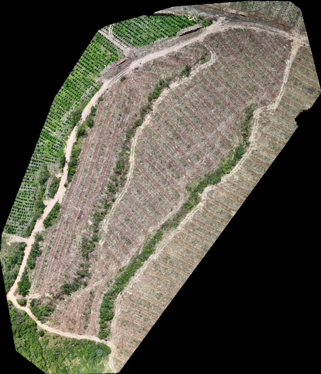 Drone map of Fazenda Bela Vista VP ECOPLANALTO FLORESTAMENTO Aerial drone map in Catalão, Go, BR