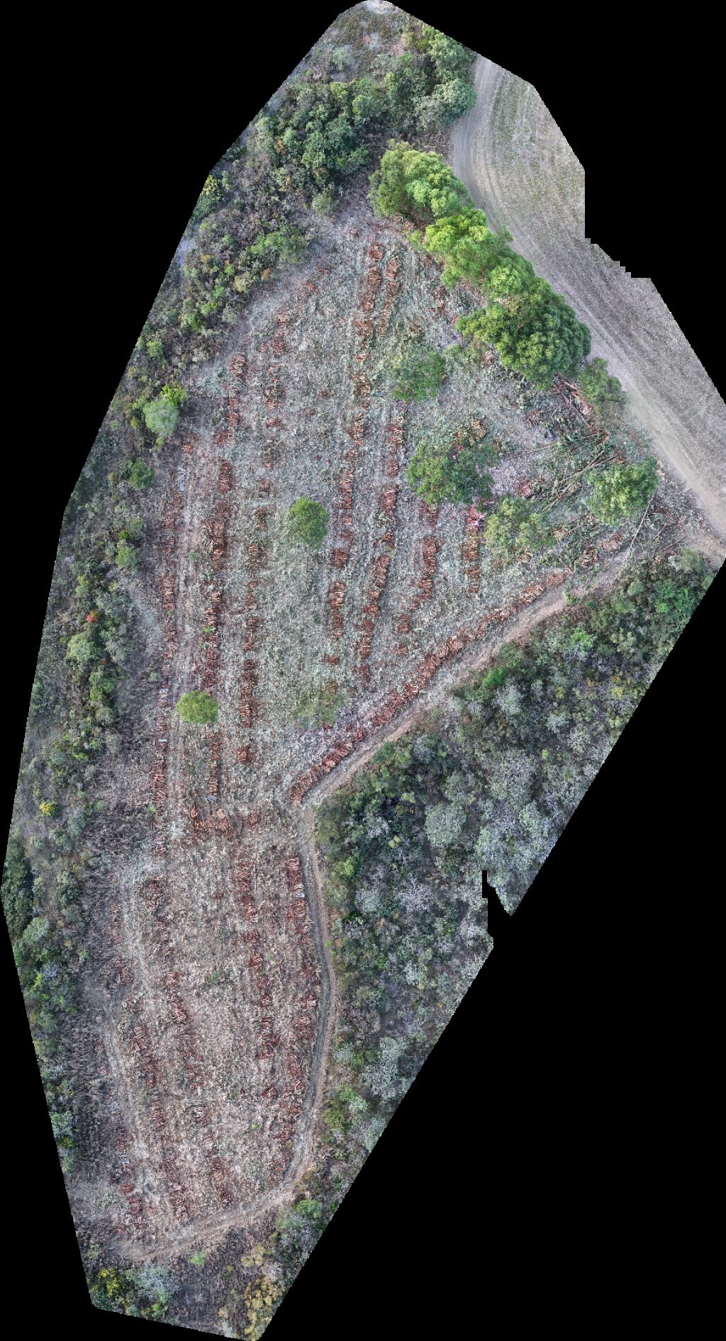 Thumbnail preview for Drone Map of Fazenda Maringá Agropecuária Rampelotti Mariceu in Catalão, Goiás, Brazil
