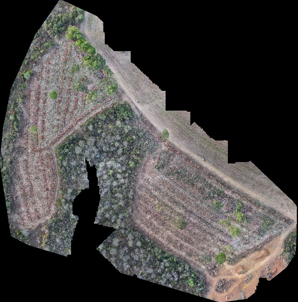 Thumbnail preview for Drone Map of Fazenda Maringá Agropecuária Rampelotti Mariceu in Catalão, Goiás, Brazil