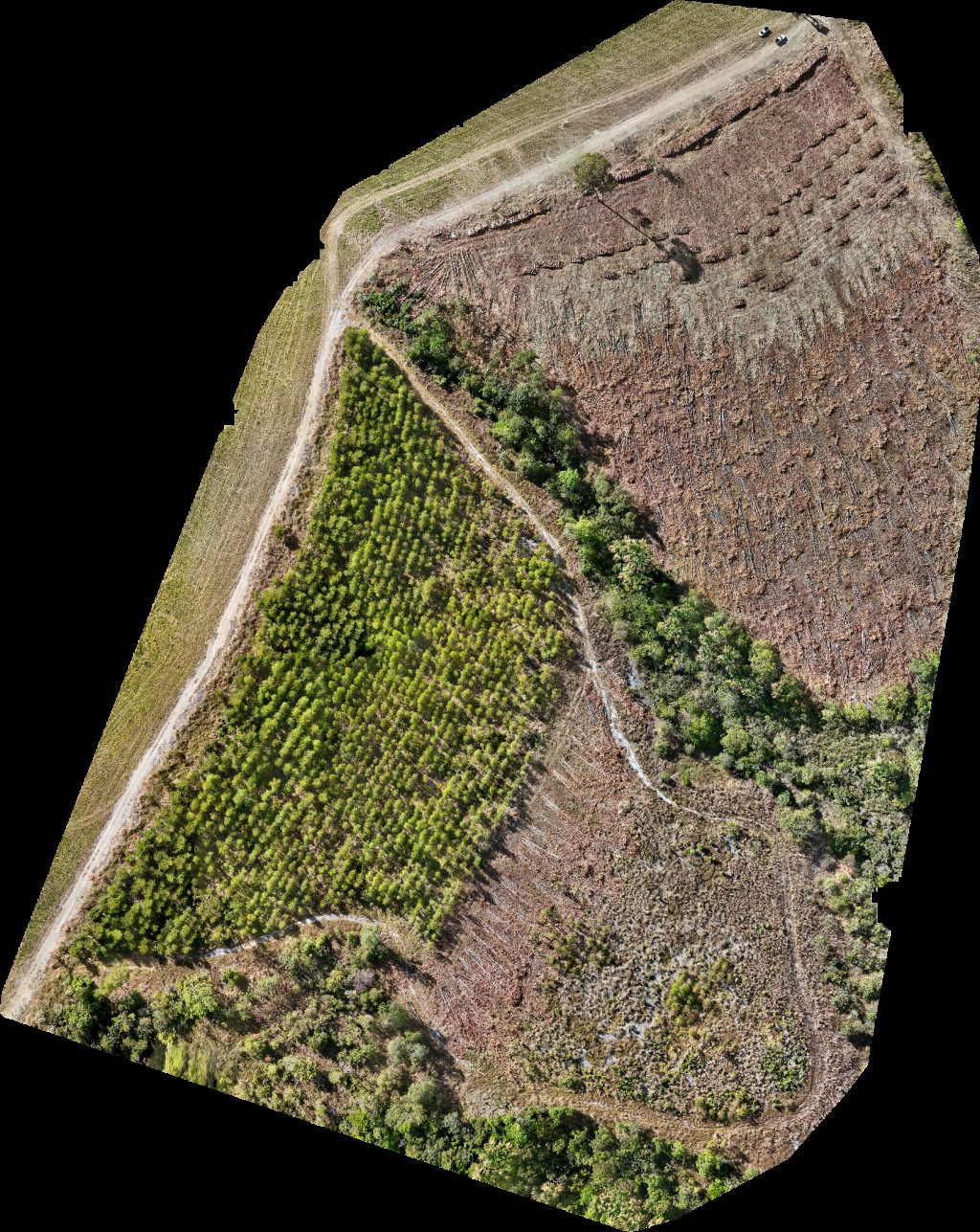 Thumbnail preview for Drone Map of Fazenda Maringá Agropecuária Rampelotti Mariceu in Catalão, Goiás, Brazil