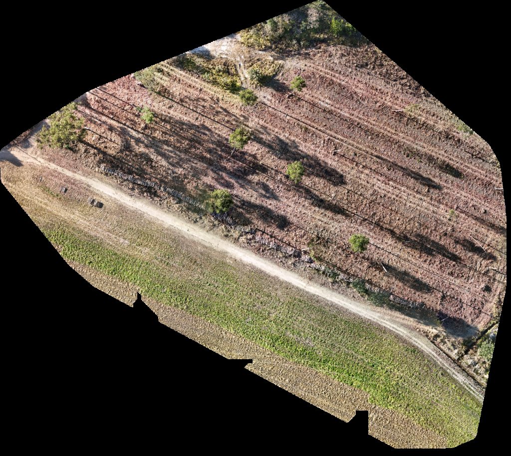 Thumbnail preview for Drone Map of Fazenda Maringá Agropecuária Rampelotti Zezo in Catalão, Goiás, Brazil
