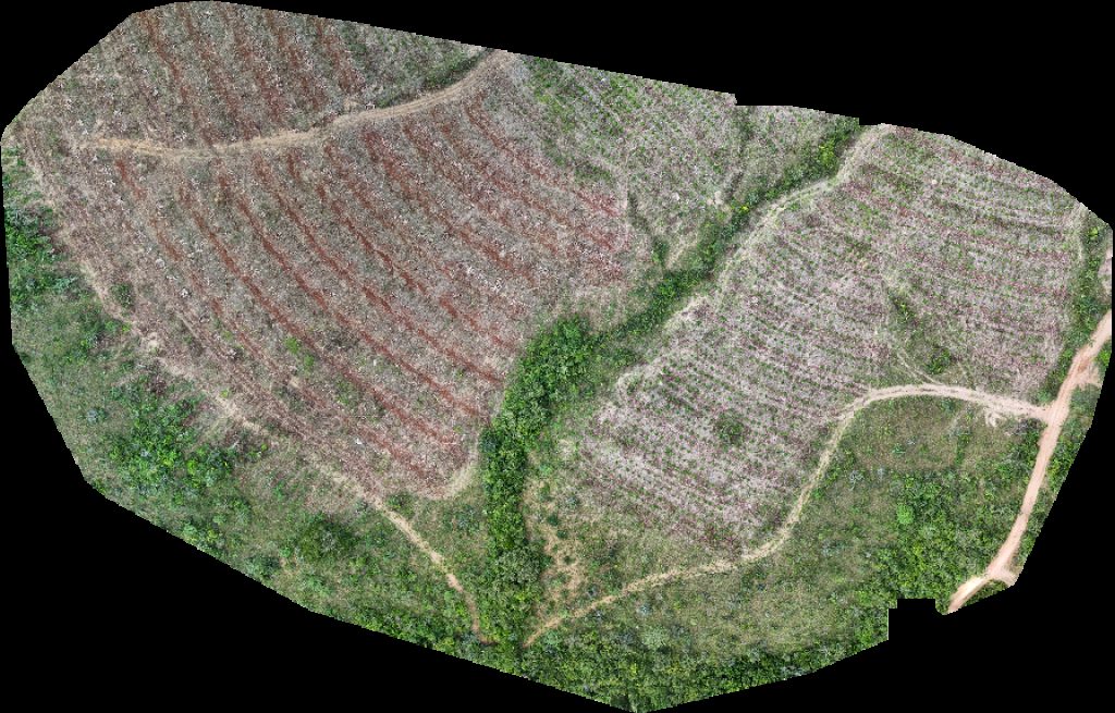 Drone map of Fazenda Bela Vista VP ECOPLANALTO FLORESTAMENTO in rancho recanto Aerial drone map in Catalão, Go, BR