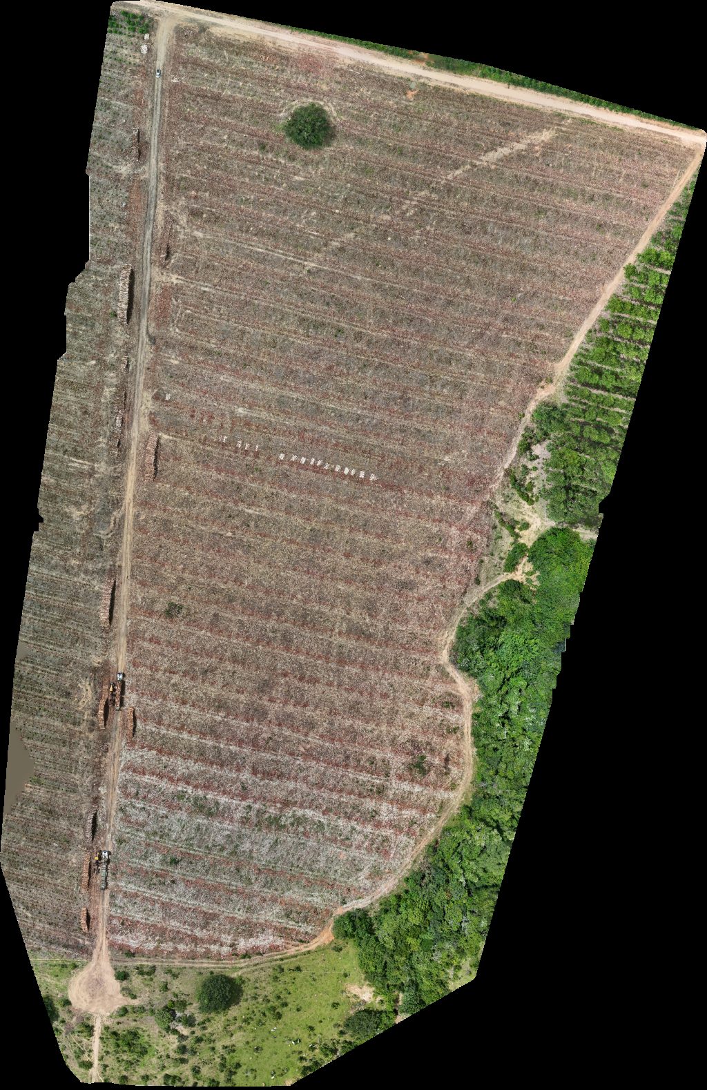 Drone map of FAZENDA SGP Rancho Juarez Bebeth in rancho recanto Aerial drone map in Catalão, Go, BR
