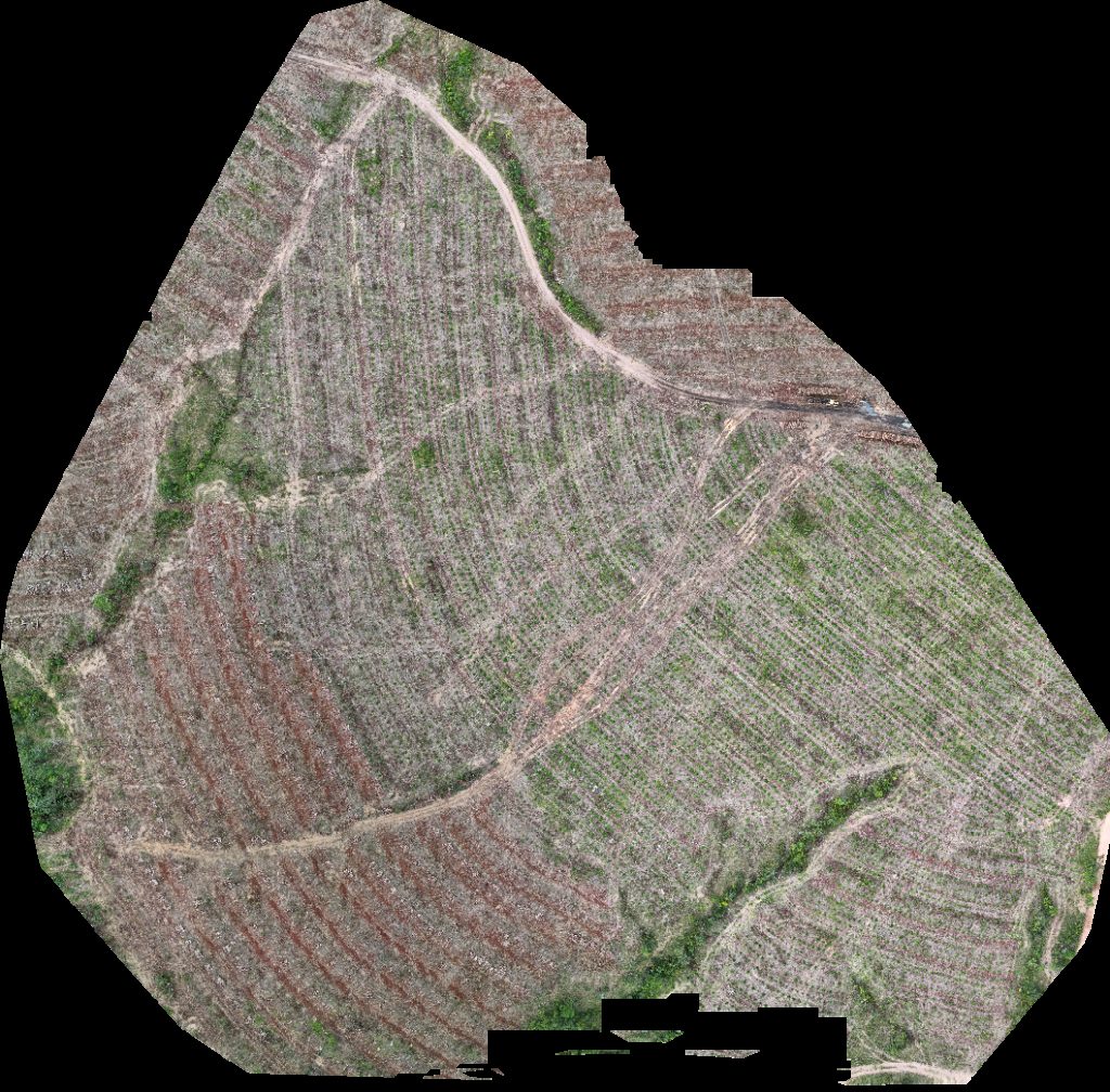 Drone map of VP ECOPLANALTO FLORESTAMENTO Fazenda Bela Vista in rancho recanto Aerial drone map in Catalão, Go, BR