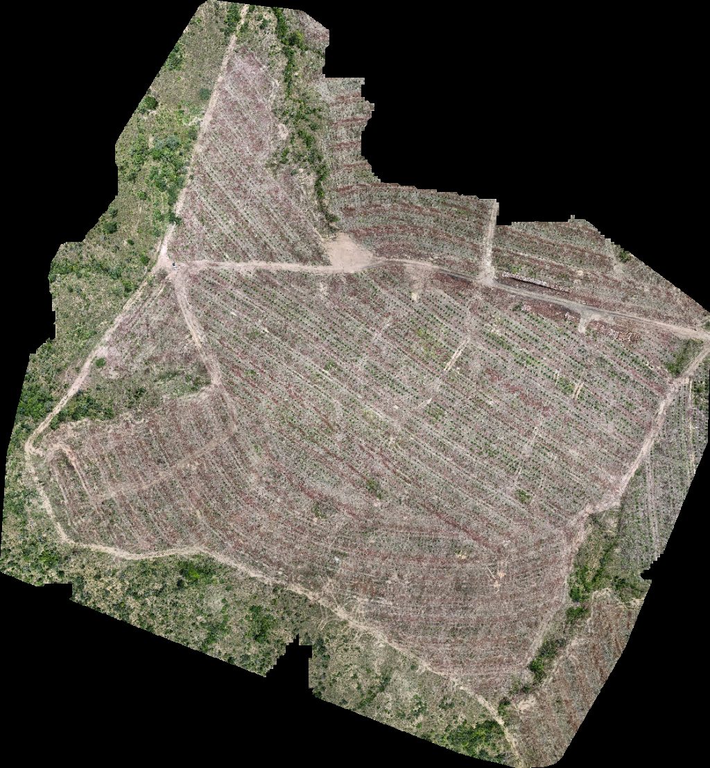 Drone map of VP ECOPLANALTO FLORESTAMENTO Fazenda Bela Vista in rancho recanto Aerial drone map in Catalão, Go, BR