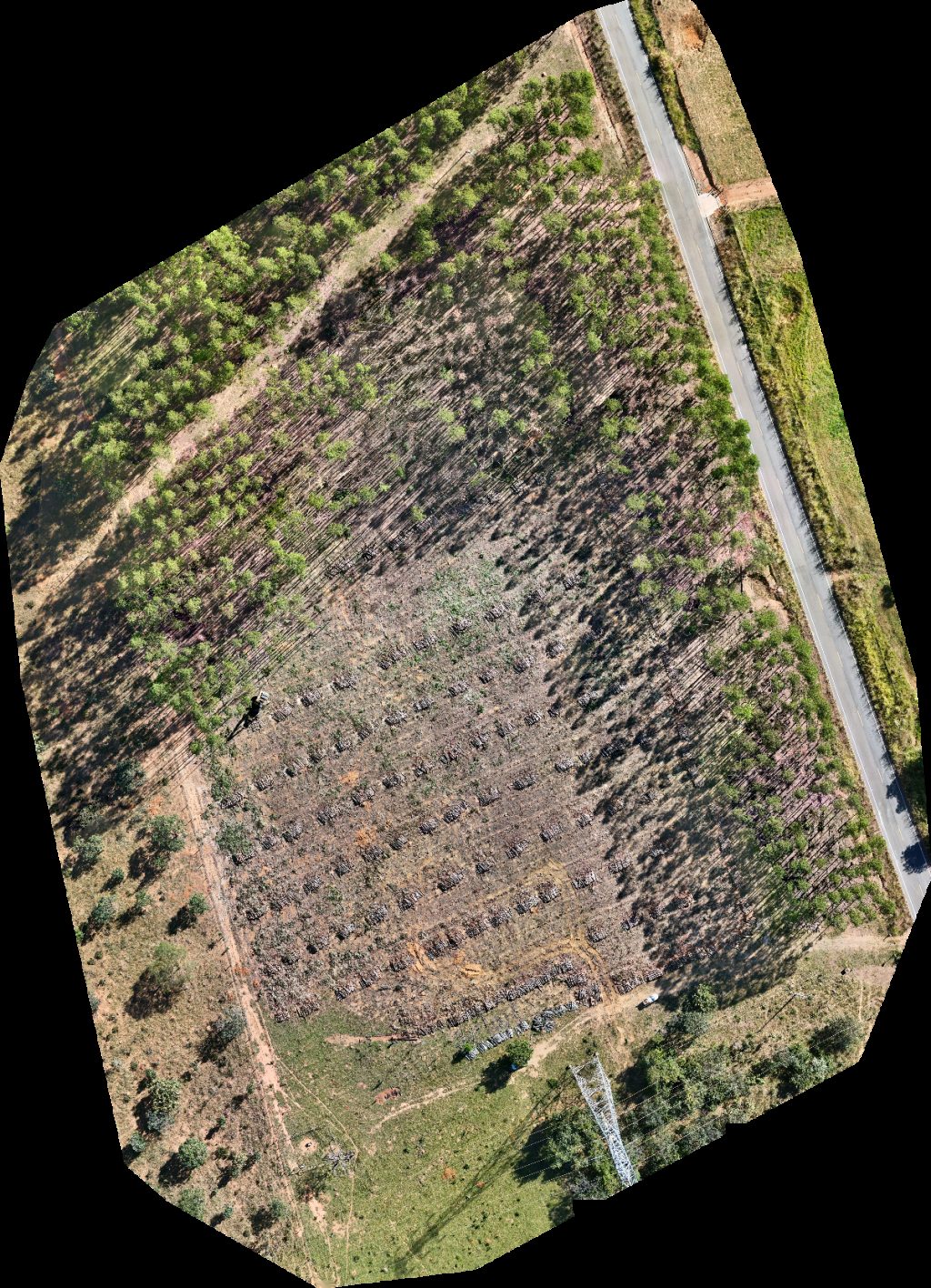 Drone map of Fields ️ Pasto in restaurante tudo caipira Aerial drone map in Catalão, Go, BR