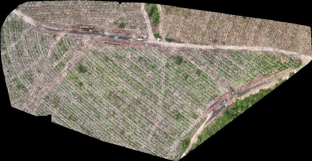 Drone map of VP ECOPLANALTO FLORESTAMENTO Fazenda Bela Vista Aerial drone map in Catalão, Go, BR