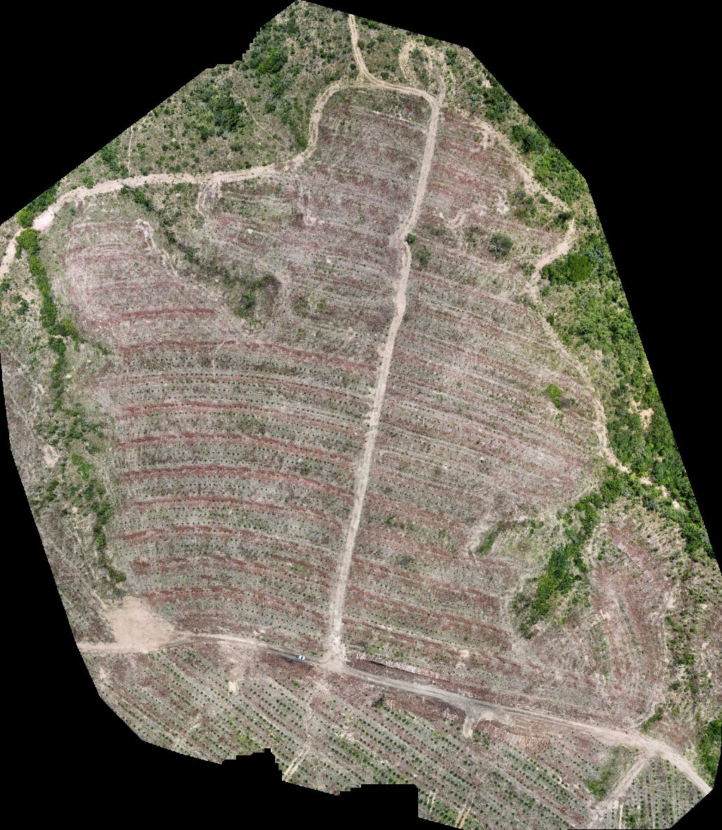 Drone map of VP ECOPLANALTO FLORESTAMENTO Fazenda Bela Vista Aerial drone map in Catalão, Go, BR