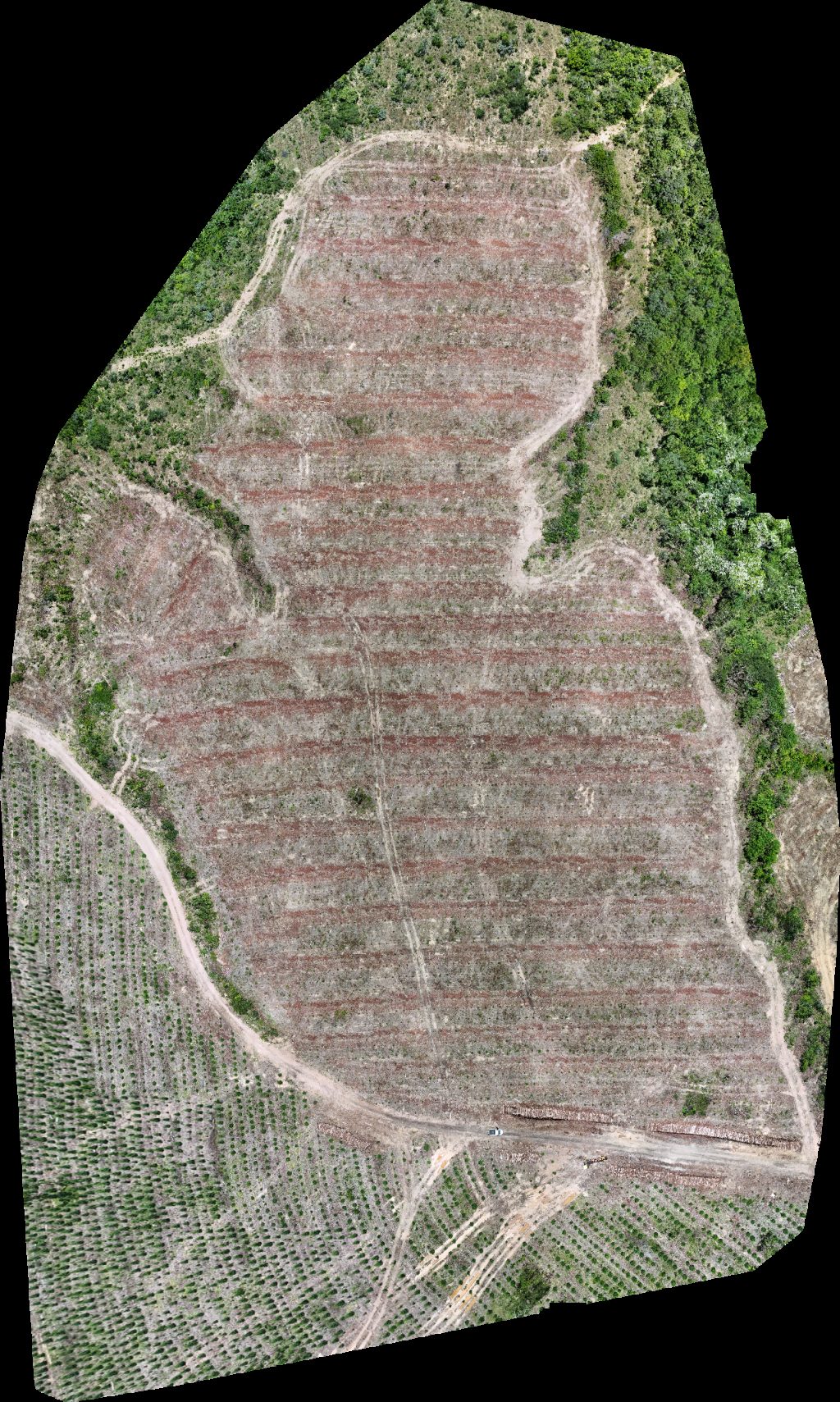 Drone map of VP ECOPLANALTO FLORESTAMENTO Fazenda Bela Vista Aerial drone map in Catalão, Go, BR