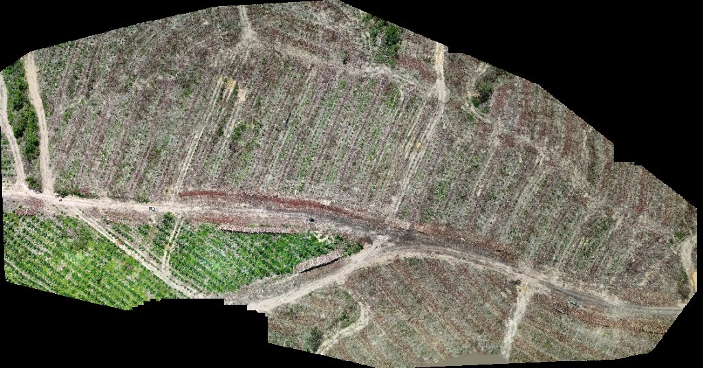 Drone map of VP ECOPLANALTO FLORESTAMENTO Fazenda Bela Vista Aerial drone map in Catalão, Go, BR